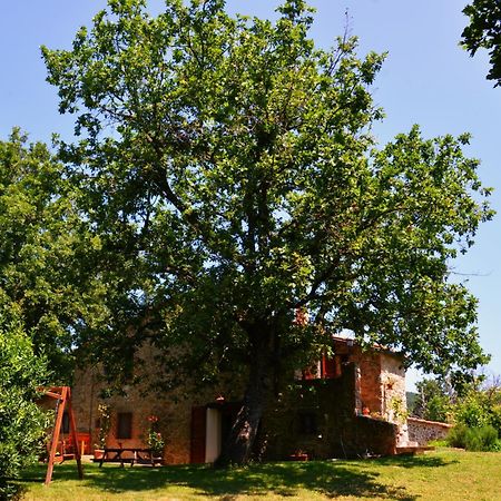 Il Venaio Bed & Breakfast มัสซามาริตติมา ภายนอก รูปภาพ